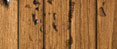 PN_DIS_Lines-2.jpg